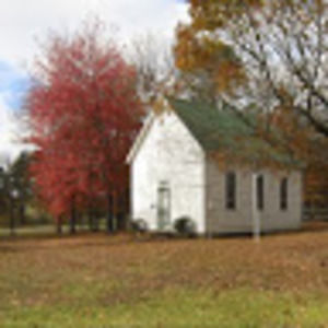 Meet your Posher, Martha